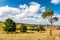 Queensland countryside landscape in the dry season