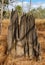 Queensland Magnetic Termite Mound,Australia