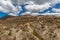 Queenstown Tasmania lunar landscape