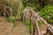 Queimadas - houses at levada . Tropical forest in the mountains on Madeira island