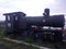 QUELLON. Old steam engine in a coastal garden in Quellon, a fishing town on the Island of Chiloe in southern Chile