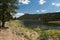 Quemado Lake, N.M. north shoreline tree