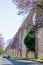 Queretaro Mexico aqueduct with jacaranda tree and purple flowers