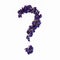 Question mark made of purple flowers. Part of the English alphabet