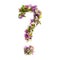 Question mark of natural meadow flowers and lilacs on a white ba