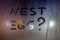 The question nest egg written by finger on night wet glass with blurred lights in background