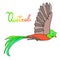 Quetzal Bird flying. Rainbow Quetzal word.