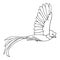 Quetzal Bird monochrome
