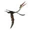 Quetzalcoatlus flying head up - 3D render