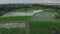 A quick flight by drone to green rice fields and sunset sky and ocean in the distance. Rice plantations on the island of