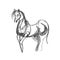 A quick pencil sketch of a half-turn horse on white paper. Fine freehand gesture drawing in minimalistic style. Modern monochrome