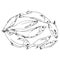 A quick sketch of a river fish lying in a circle. Fisherman`s catch, drawn by hand, outline. The theme of sports fishing,