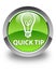 Quick tip (bulb icon) glossy green round button