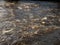 Quick water flow in a river, Nature background. Selective focus