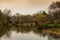 A quiet bridge in Central Park in New York in the Spring