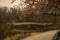 A quiet bridge in Central Park in New York in the Spring