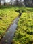 Quiet brook in the country