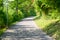 Quiet deserted rural road winding through woodland