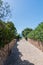 Quiet deserted street overlooking the sea surrounded by green bushes against a blue sky