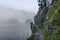 The quiet douglas tree woods on the shore of the lake of Silvaplana in the Engadin valley at sunrise with the fog over the water