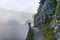 The quiet douglas tree woods on the shore of the lake of Silvaplana in the Engadin valley at sunrise with the fog over the water