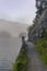 The quiet douglas tree woods on the shore of the lake of Silvaplana in the Engadin valley at sunrise with the fog over the water