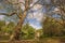 Quiet landscape of London park.