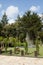 Quiet landscape, public park with water fountain in sunny day