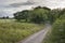 Quiet lane, Cotswolds, England