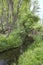 a quiet little river runs between leafy trees and a green grassy meadow with some flowers, barranco del Rio Dulce, Guadalajara,