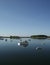 Quiet Maine harbor with lobster boats