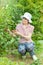 Quiet mature woman picks up berries of black currant