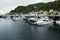 Quiet moorage and homes on the ridge overlooking the harbour, Ketchikan, Alaska