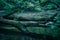 Quiet Mountain River in Western North Carolina