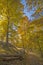 Quiet Mountain Trail in the Fall