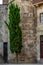 Quiet narrow streets in the Gothic quarter of Barcelona in the m