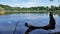 Quiet Natural.   Lake With Plants And Reflection