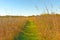 Quiet Path in to the Prairie