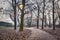 Quiet path in the town park ground view