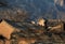 Quiet and peaceful ancient village in northern china