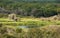 Quiet Pond in Florida Forest