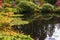 Quiet pond on Vancouver Island