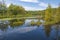 Quiet Reflections on a Flooded Lake