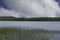 Quiet reflecton spot on New Hampshire pond