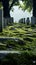 Quiet repose Cemetery adorned with rows of solemn grave stones