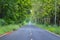 Quiet Road in the Forest