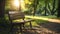 Quiet and serene park bench bathed in soft sunlight streaming through nearby tree