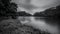quiet smooth water pond in Black and White in Hong Kong