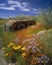 A quiet still scene of desolation the tank enveloped in a colorful blanket of wildflowers. Abandoned landscape. AI