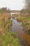 Quiet Stream Flowing Out of a Wetland